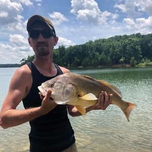 Meet your Posher, Wade